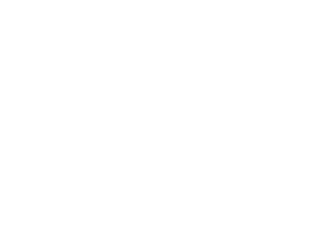 BS2 Seguros